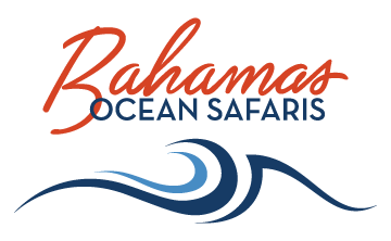 Bahamas Ocean Safaris