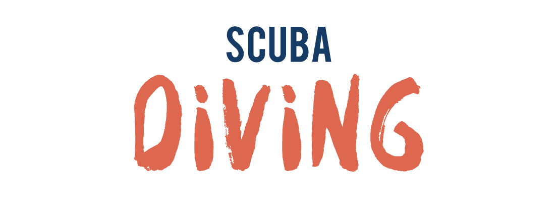 Best Scuba Diving Around Harbor Island & Eleuthera Bahamas