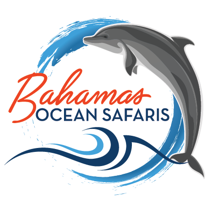 Bahamas Ocean Safaris